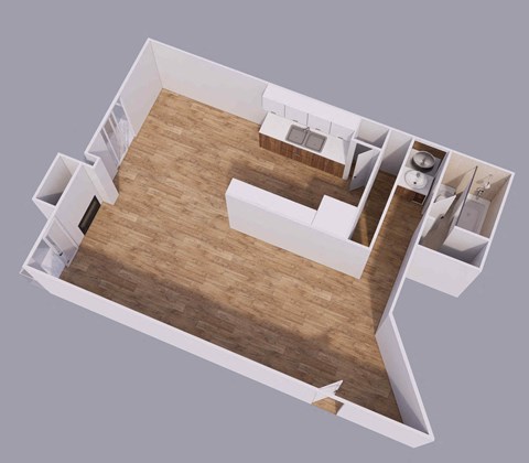 Floor plan for studio, 1 bath, 550 sqft